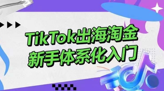 TikTok出海淘金，新手体系化入门，零基础快速入门，掌握短视频、直播带货等引流到变现的知识 - 副业心选-副业心选