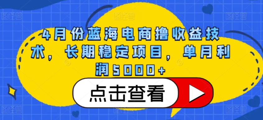 4月份蓝海电商撸收益技术，长期稳定项目，单月利润5000+-副业心选