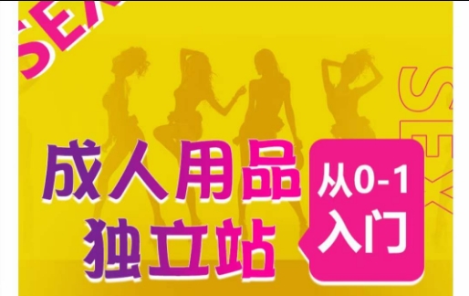 成人用品独立站从0-1入门，成品独立站运营全流程教学，七大好卖成品独立站推荐-副业心选