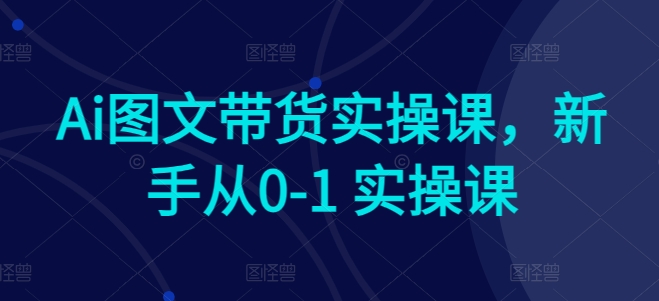Ai图文带货实操课，新手从0-1 实操课 - 副业心选-副业心选