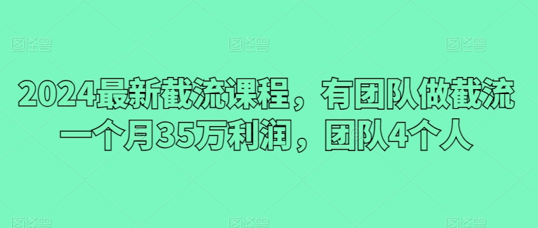 2024最新截流课程，有团队做截流一个月35万利润，团队4个人 - 副业心选-副业心选