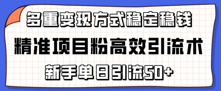 精准项目粉高效引流术，新手单日引流50+，多重变现方式稳定赚钱-副业心选