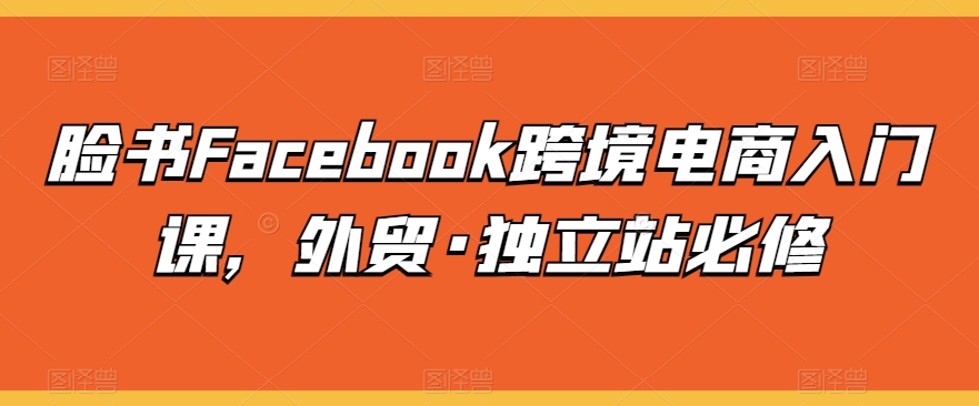 脸书Facebook跨境电商入门课，外贸·独立站必修 - 副业心选-副业心选