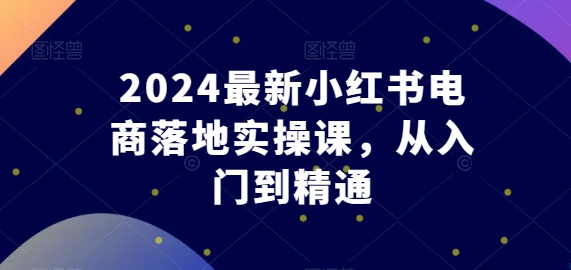 2024最新小红书电商落地实操课，从入门到精通 - 副业心选-副业心选
