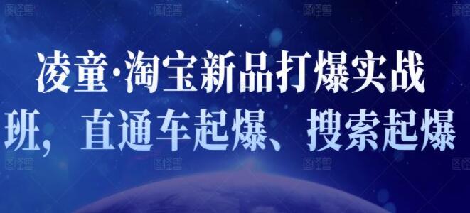凌童《新品打爆实战班》,一套完整的实操实战落地方法，打爆链接超2000+（28节课)-副业心选