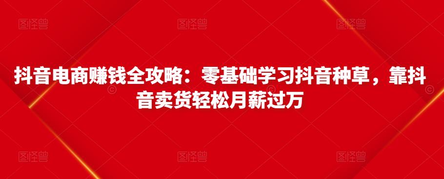 抖音电商赚钱全攻略：零基础学习抖音种草，靠抖音卖货轻松月薪过万-副业心选