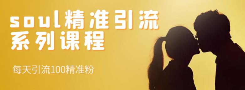 soul精准引流系列课程，每天引流100精准粉-副业心选