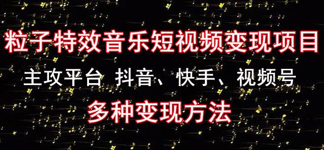 黄岛主《粒子特效音乐短视频变现项目》主攻平台抖音、快手、视频号多种变现方法 - 副业心选-副业心选