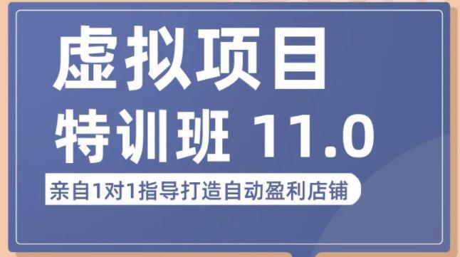 陆明明·虚拟项目特训班（10.0+11.0），0成本获取虚拟素材，0基础打造自动盈利店铺 - 副业心选-副业心选