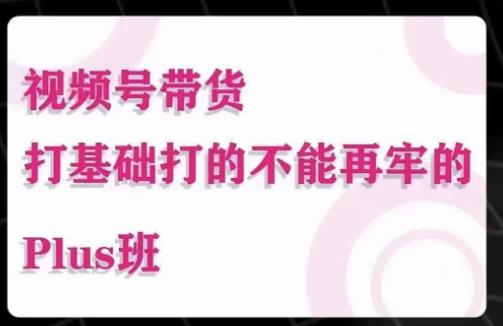 大播汇·视频号带货Puls班，视频号底层逻辑，起号自然流鱼塘等玩法 - 副业心选-副业心选