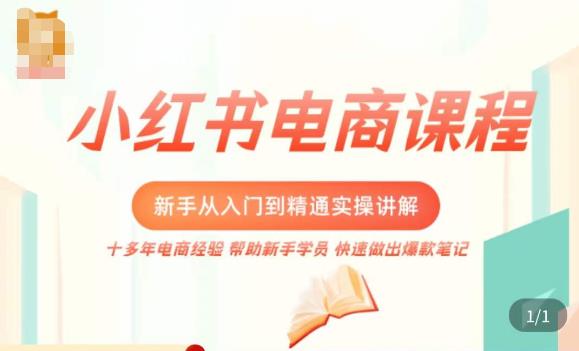 小红书电商新手入门到精通实操课，从入门到精通做爆款笔记，开店运营-副业心选
