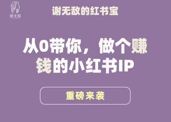 谢无敌·小红书运营大宝典，从0带你做个赚钱的小红书IP - 副业心选-副业心选