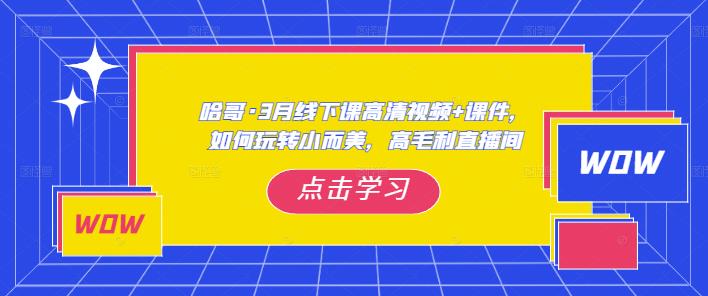 哈哥·3月线下实操课高清视频+课件，如何玩转小而美，高毛利直播间 - 副业心选-副业心选