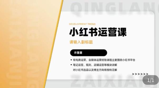 许筐筺·小红书运营课，​笔记运营、规则、店铺运营等模块讲解，学会自己独立运营小红书账号-副业心选