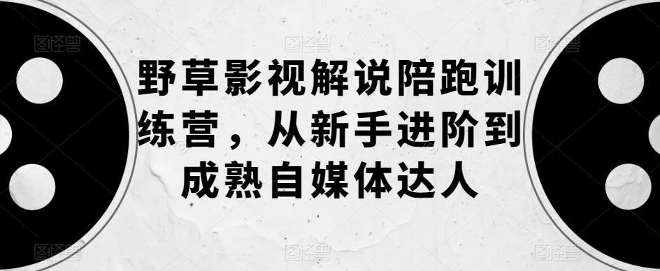 野草影视解说陪跑训练营，从新手进阶到成熟自媒体达人 - 副业心选-副业心选