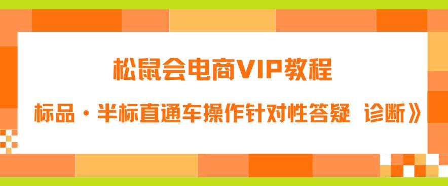 松鼠会电商VIP教程：松鼠《付费推广标品·半标直通车操作针对性答疑&诊断》 - 副业心选-副业心选