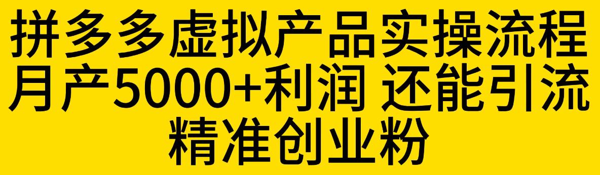 拼多多虚拟产品实操流程，月产5000+利润，还能引流精准创业粉【揭秘】 - 副业心选-副业心选