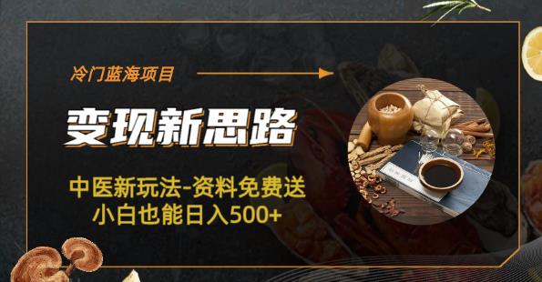 冷门蓝海项目-中医新玩法-资料免费送小白也能日入500+【揭秘】-副业心选