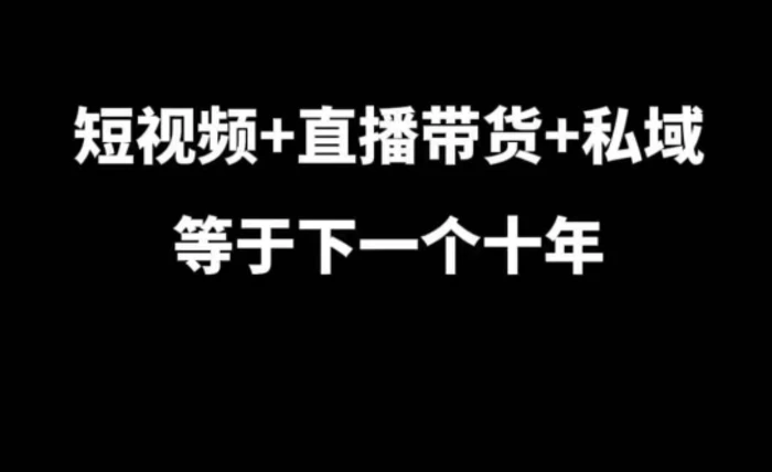 短视频+直播带货+私域等于下一个十年，大佬7年实战经验总结 - 副业心选-副业心选