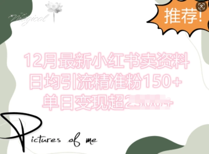 12月最新小红书日均引流精准粉100+，单日变现多张 - 副业心选-副业心选