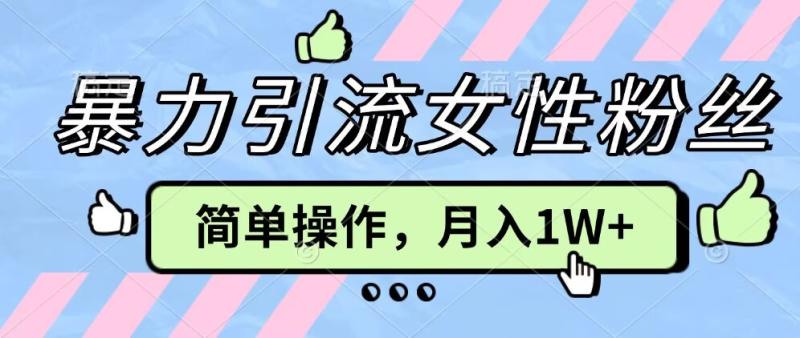 操作“零难度”小众项目，疯狂引流女性粉丝，月入轻松破 1W+ - 副业心选-副业心选