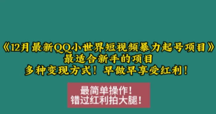 12月最新QQ小世界短视频暴力起号项目，最适合新手的项目，多种变现方式 - 副业心选-副业心选