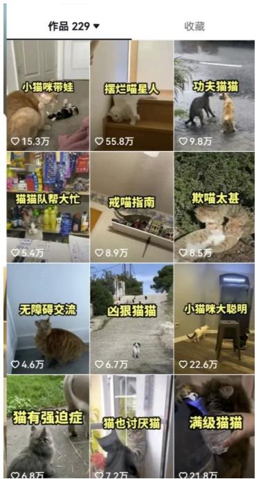 图片[3]-拆解抖音盘点类中视频变现副业项目，视频版一条龙大解析分享给你【视频课程】 - 副业心选-副业心选