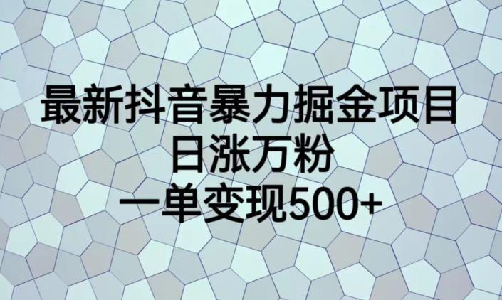 最新抖音暴力掘金项目，日涨万粉，一单变现500+【揭秘】 - 副业心选-副业心选