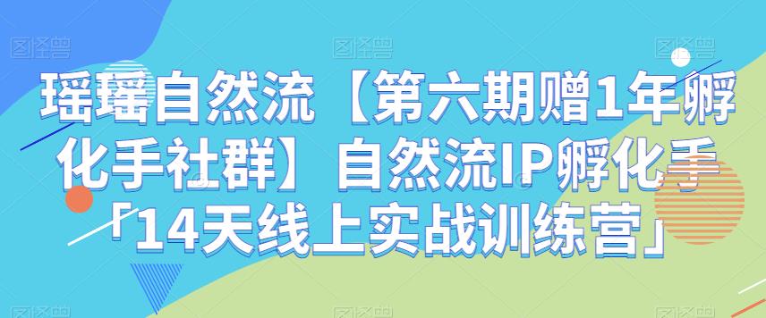 瑶瑶自然流【第六期赠1年孵化手社群】自然流IP孵化手「14天线上实战训练营」 - 副业心选-副业心选