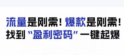 电商盈利精品课：6大盈利密码让产品更好卖，流量是刚需！爆款是刚需！找到”盈利密码”一键起爆-副业心选