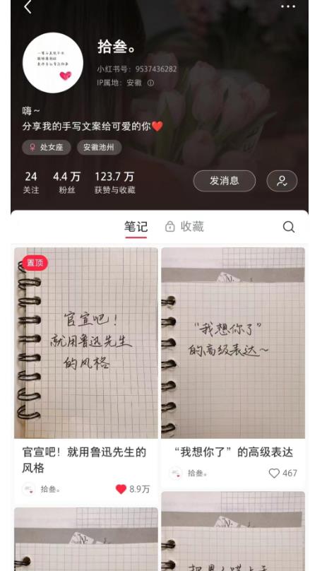图片[2]-AI批量制造小红书爆款笔记+小红书无货源，玩法一条龙实操，小白也能轻松日入500+【揭秘】 - 副业心选-副业心选