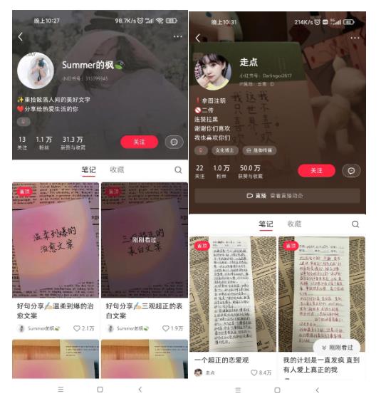 图片[3]-AI批量制造小红书爆款笔记+小红书无货源，玩法一条龙实操，小白也能轻松日入500+【揭秘】 - 副业心选-副业心选