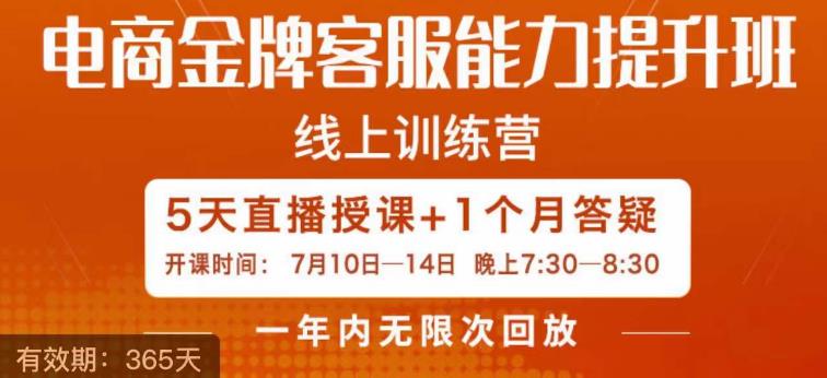 电商金牌客服能力提升班，提升客服能力是你店铺业绩的关键要素-副业心选