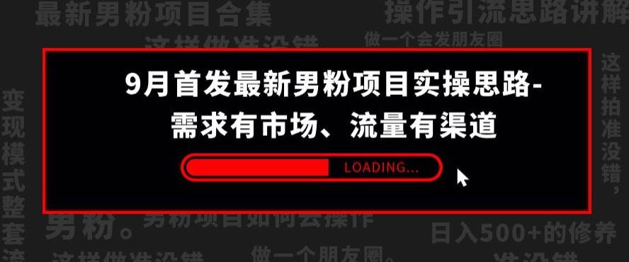 9月首发最新男粉项目实操思路-需求有市场，流量有渠道【揭秘】 - 副业心选-副业心选