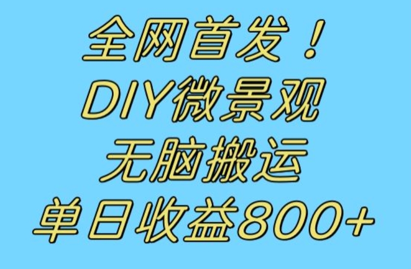 全网首发冷门赛道！DIY微景观，无脑搬运视频，日收益800+【揭秘】 - 副业心选-副业心选