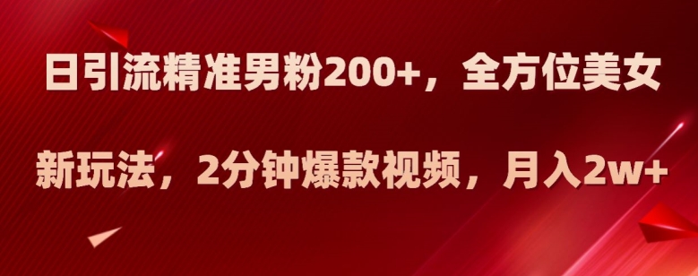 日引流精准男粉200+，全方位美女新玩法，2分钟爆款视频，月入2w+【揭秘】-副业心选