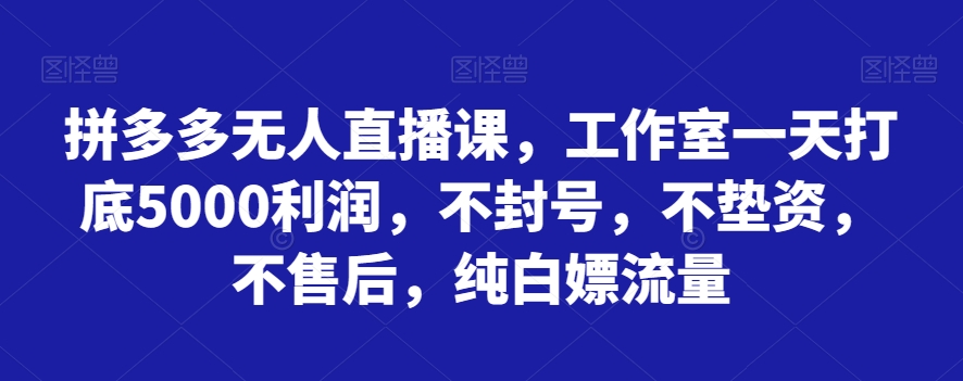 拼多多无人直播课，工作室一天打底5000利润，不封号，不垫资，不售后，纯白嫖流量 - 副业心选-副业心选