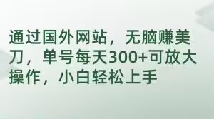 通过国外网站，无脑赚美刀，单号每天300+可放大操作，小白轻松上手【揭秘】 - 副业心选-副业心选