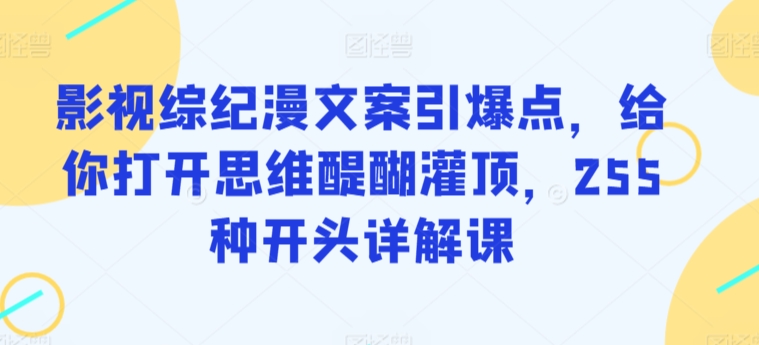 影视综纪漫文案引爆点，给你打开思维醍醐灌顶，255种开头详解课 - 副业心选-副业心选