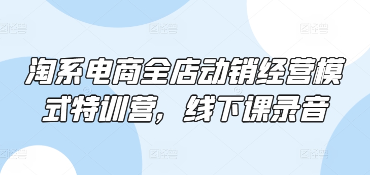 淘系电商全店动销经营模式特训营，线下课录音 - 副业心选-副业心选