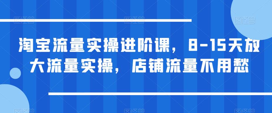 淘宝流量实操进阶课，8-15天放大流量实操，店铺流量不用愁 - 副业心选-副业心选