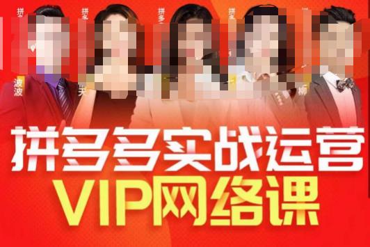 推易拼多多VIP全套直播课程，拼多多店铺实操玩法+实战玩法选款内功+直通车高阶等 - 副业心选-副业心选