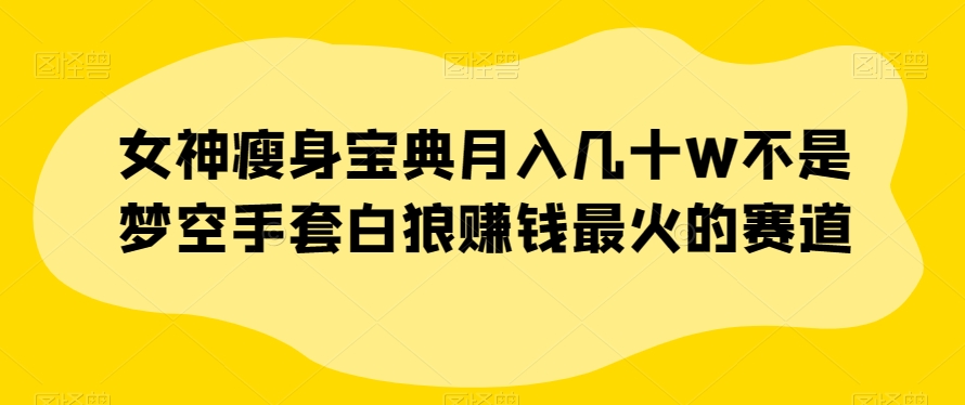 女神瘦身宝典月入几十W不是梦空手套白狼赚钱最火的赛道【揭秘】 - 副业心选-副业心选