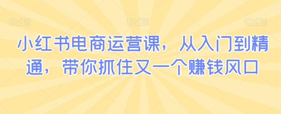 小红书电商运营课，从入门到精通，带你抓住又一个赚钱风口 - 副业心选-副业心选