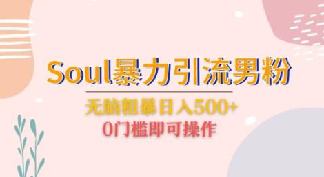 Soul暴力引流男粉玩法，无脑粗暴日入500＋，0门槛即可操作【揭秘】-副业心选