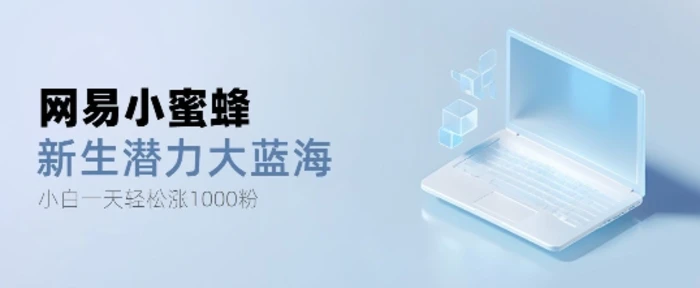 网易小蜜蜂，最新大蓝海项目，单日轻松日涨千粉 - 副业心选-副业心选