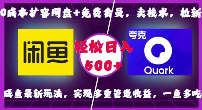 0成本扩容网盘+免费会员，卖技术，拉新，咸鱼最新玩法，实现多重管道收益，一鱼多吃，轻松日入500+ - 副业心选-副业心选
