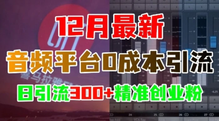 12月最新：音频平台0成本引流，日引流300+精准创业粉 - 副业心选-副业心选
