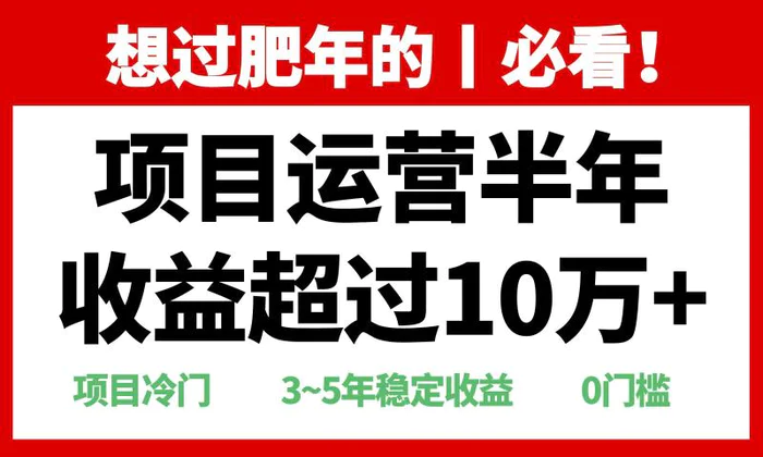 （13663期）年前过肥年的必看的超冷门项目，半年收益超过10万+， - 副业心选-副业心选
