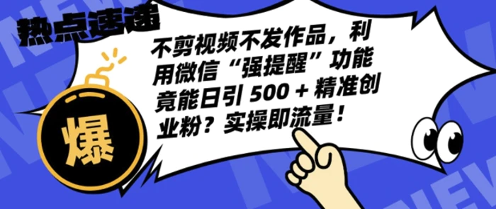 不剪视频不发作品，视频号私信日引 500 + 精准创业粉?实操即流量!-副业心选
